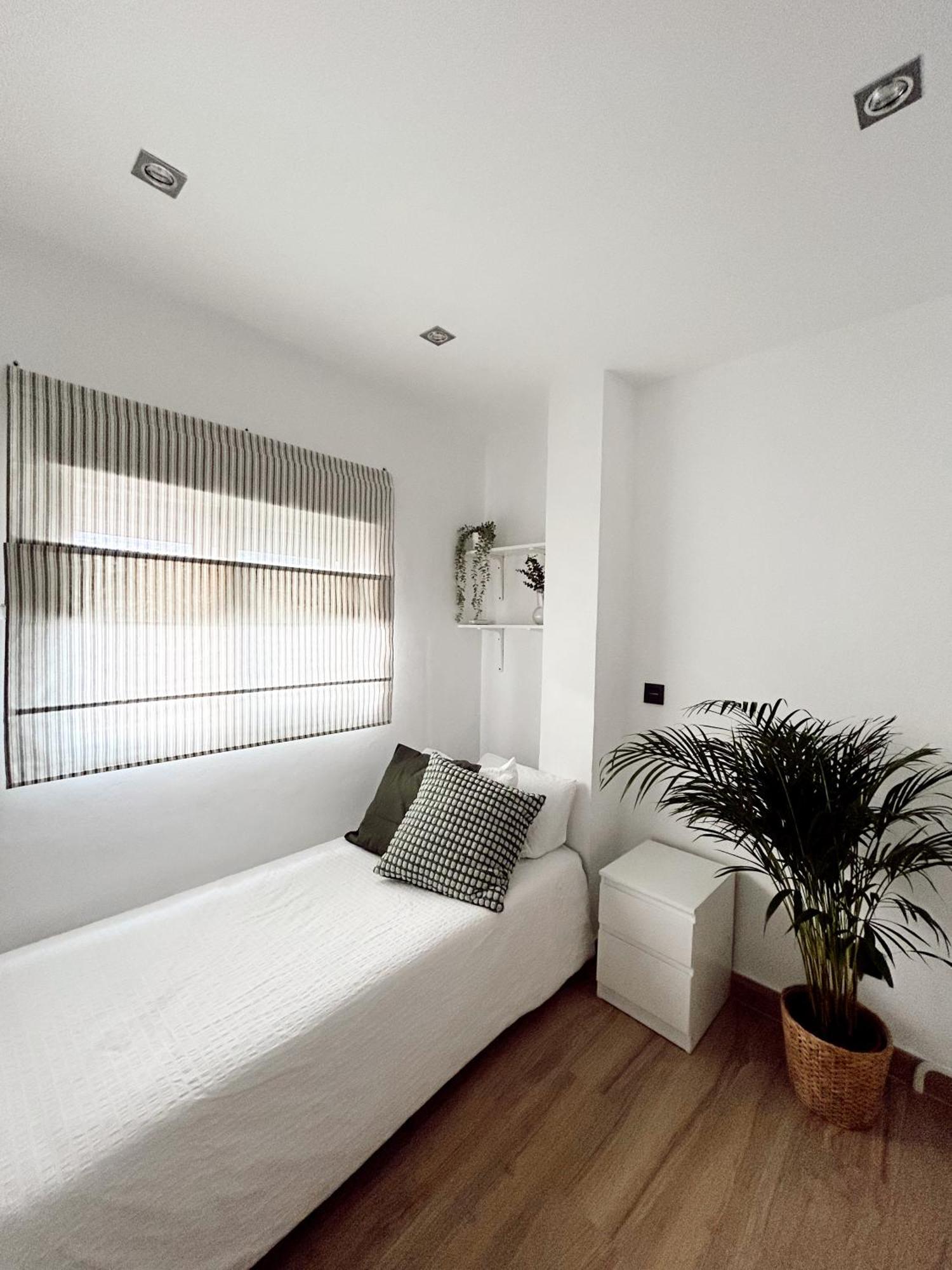 Cosy Trinidad Apartment Malaga Exterior photo